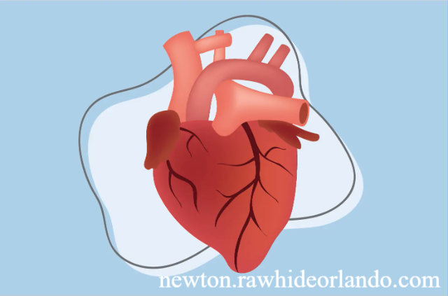 Rahasia Menjaga Kesehatan Jantung Optimal